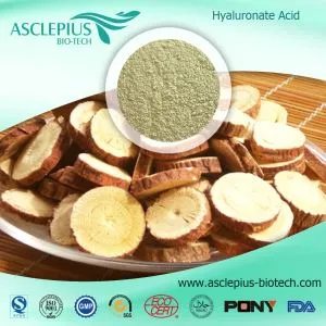 Astragalus Kökü Ekstresi Tozu/huang Qi özü/Aktif Madde Astragaloside, astragalin Tedarikçisi Toptan Satış