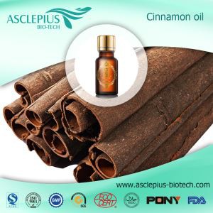 Sichuan Körfezi'nin Özgünlüğü