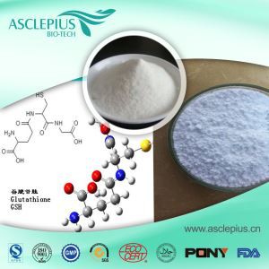 L Glutamin Tozu Takviyesi Tedarikçisi toptan satış